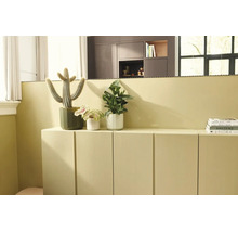 Modernes Wohnzimmer mit einem niedrigen Sideboard und passender Wandfarbe, dekoriert mit Zimmerpflanzen wie einem Kaktus.