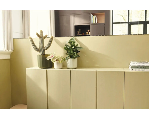 Modernes Wohnzimmer mit einem niedrigen Sideboard und passender Wandfarbe, dekoriert mit Zimmerpflanzen wie einem Kaktus.