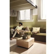Wohnzimmer mit olivgrüner Wandfarbe und passendem Sofa, quadratischem beigen Couchtisch mit Zimmerpflanzen und hellen Vorhängen.