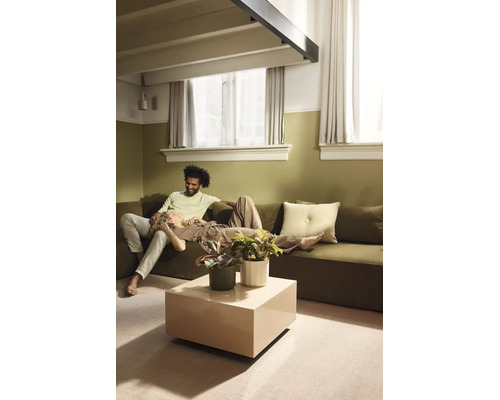 Wohnzimmer mit olivgrüner Wandfarbe und passendem Sofa, quadratischem beigen Couchtisch mit Zimmerpflanzen und hellen Vorhängen.
