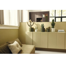 Verschiedene Kakteen in geometrischen Töpfen auf einem Sideboard in einem hellen, modern eingerichteten Wohnraum mit Sofa.
