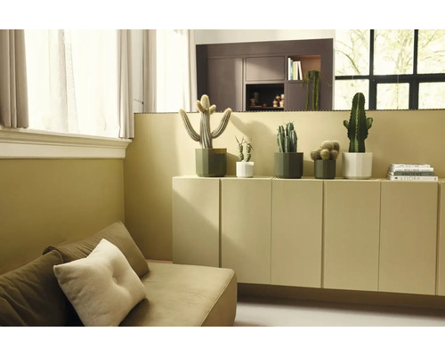 Verschiedene Kakteen in geometrischen Töpfen auf einem Sideboard in einem hellen, modern eingerichteten Wohnraum mit Sofa.