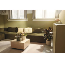 Modernes Wohnzimmer mit grünem Sofa, beigem Couchtisch, verschiedenen Zimmerpflanzen und zweifarbig gestalteten Wänden in Olivgrün und Weiß.