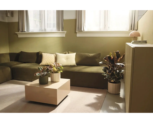 Modernes Wohnzimmer mit grünem Sofa, beigem Couchtisch, verschiedenen Zimmerpflanzen und zweifarbig gestalteten Wänden in Olivgrün und Weiß.