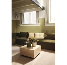 Modernes Wohnzimmer mit zweifarbig gestrichenen Wänden, großer Eckcouch, quadratischem Beistelltisch und dekorativen Zimmerpflanzen.