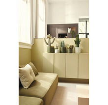 Helles, organisiertes Wohnzimmer mit verschiedenen Kakteen in Töpfen auf einem Sideboard neben einem Sofa. Modernes Design mit hellen Textilien.