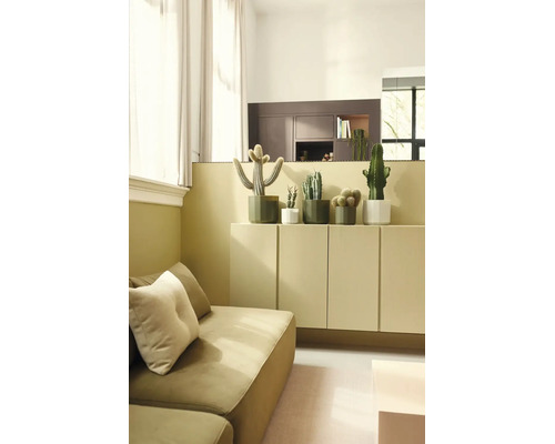 Helles, organisiertes Wohnzimmer mit verschiedenen Kakteen in Töpfen auf einem Sideboard neben einem Sofa. Modernes Design mit hellen Textilien.