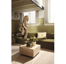 Modernes Wohnzimmer mit grünen Wänden, modularem Sofa, quadratischem Couchtisch und Zimmerpflanzen. Eine Frau springt auf dem Sofa.