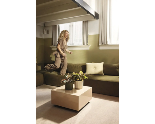 Modernes Wohnzimmer mit grünen Wänden, modularem Sofa, quadratischem Couchtisch und Zimmerpflanzen. Eine Frau springt auf dem Sofa.