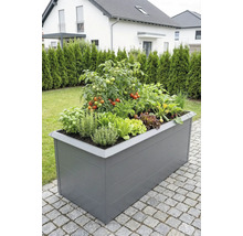 Graues Hochbeet auf einer Terrasse, bepflanzt mit Tomaten, verschiedenen Kräutern wie Basilikum und Rosmarin sowie Salat.