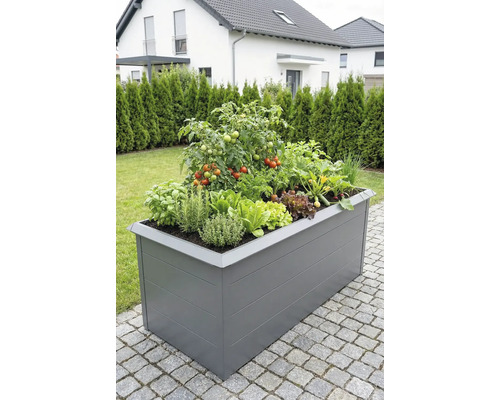 Graues Hochbeet auf einer Terrasse, bepflanzt mit Tomaten, verschiedenen Kräutern wie Basilikum und Rosmarin sowie Salat.