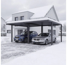 Moderner Doppelcarport aus Aluminium mit zwei Autos in einer verschneiten Winterlandschaft vor einem Wohnhaus.