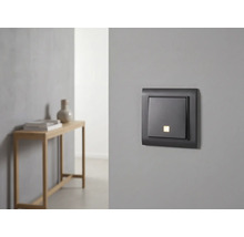 Moderner Lichtschalter mit Kontrollleuchte an einer grauen Wand in einem minimalistisch eingerichteten Raum.