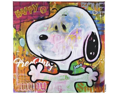 Farbenfrohes Keilrahmenbild im Graffiti-Stil mit Snoopy-Motiv, verschiedenen Schriftzügen und Symbolen.