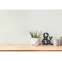 Moderne Innendekoration mit Aloe Vera im gemusterten Topf, LED-Ampersand und Keramikdosen auf einer hellen Holzoberfläche.