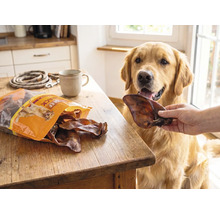 Golden Retriever bekommt einen getrockneten Rinderohr-Hundesnack in einer hellen Küche neben einem Produktbeutel auf einem Holztisch.