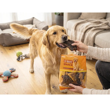 Ein Golden Retriever wird in einem Wohnzimmer mit einem Trockenfleisch-Snack aus einer Packung Mr. Beef Snack gefüttert.