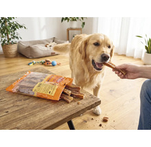 Ein Golden Retriever in einem hellen Wohnzimmer erhält einen Snack von Mr. Beef aus der Hand. Die Packung liegt auf einem Holztisch.