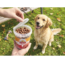 Eine Person hält einen Plastikeimer mit Mr. Beef Hundesnacks vor einen erwartungsvollen Golden Retriever, der auf einer Wiese sitzt.