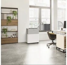 Mobiles Split-Klimagerät in einem hellen, modernen Büro mit Schreibtisch, Regal und Pflanzen. Innengerät verbunden mit Außenteil am Fenster.