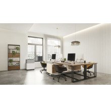 Modernes, helles Büro mit Holzschreibtischen, ergonomischen Stühlen, einem hohen Regal mit Pflanzen und einer mobilen Klimaanlage am Fenster.