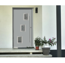 Moderne Haustür aus Aluminium mit drei Glaseinsätzen und langem Stoßgriff in hellem Eingangsbereich mit Pflanzen und Steintreppe.