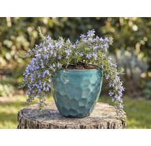 Rosmarin mit lila Blüten in einem blau-grünen strukturierten Keramiktopf auf einem Baumstamm im Garten.