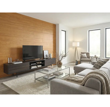 Modernes Wohnzimmer mit Wandpaneelen in Holzoptik hinter einem dunklen Fernsehmöbel und einem hellgrauen Sofa auf einem hellen Teppich.