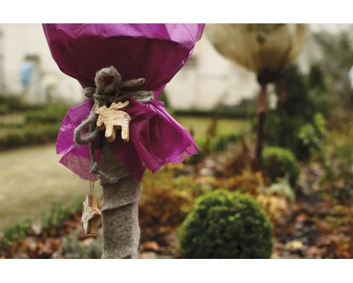 Winterschutz für Pflanzen mit Vlieshaube, Filzmatte und dekorativen Holzanhängern in Elch- und Sternform im Garten.