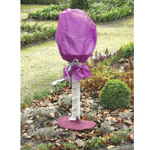 Winterschutz für Pflanzen im Garten bestehend aus einer Vlieshaube, einem Stammwickelband und einer Mulchscheibe aus Filz.