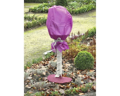 Winterschutz für Pflanzen im Garten bestehend aus einer Vlieshaube, einem Stammwickelband und einer Mulchscheibe aus Filz.
