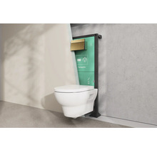hansgrohe Wand-WC-Installation im Querschnitt mit Unterputzspülkasten und Betätigungsplatte.