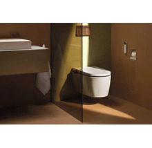 Modernes Badezimmer mit wandhängender Duschtoilette, Glas-Trennwandscheibe, Waschtischunterschrank und Betätigungsplatte.
