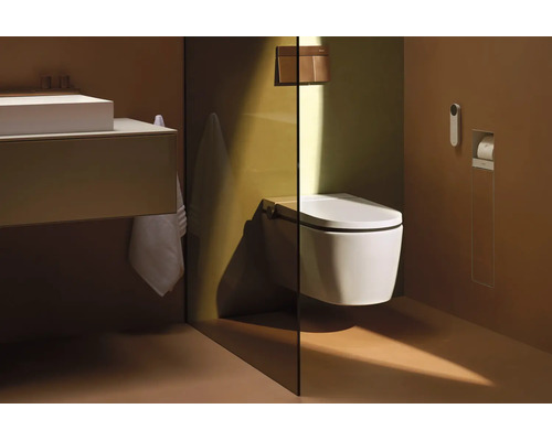 Modernes Badezimmer mit wandhängender Duschtoilette, Glas-Trennwandscheibe, Waschtischunterschrank und Betätigungsplatte.