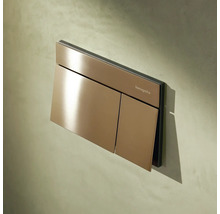 Hansgrohe Betätigungsplatte für Toilettenspülung mit Zwei-Mengen-Spültechnik in metallischem Design.