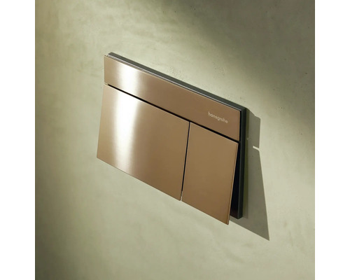Hansgrohe Betätigungsplatte für Toilettenspülung mit Zwei-Mengen-Spültechnik in metallischem Design.