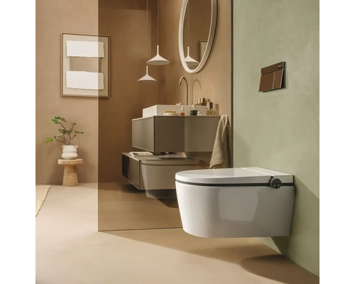 Modernes Badezimmer mit wandhängender Dusch-Toilette, Glastrennwand, Waschtisch mit Waschbecken, Armatur und rundem Spiegel.