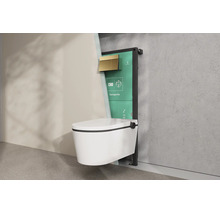 Hansgrohe Wand-Toilette Set mit Vorwandelement und goldener Betätigungsplatte in einer hellen Badezimmerinstallation.