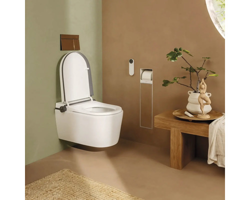 Wand-Dusch-Toilette mit Fernbedienung, Betätigungsplatte, Holzbank und integriertem Toilettenpapierhalter in einem hellen Badezimmer.