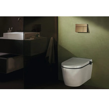 Wandhängendes Dusch-WC in einem modernen Badezimmer mit grüner Wand, goldener Betätigungsplatte und Spiegelreflexion eines Waschtisches.