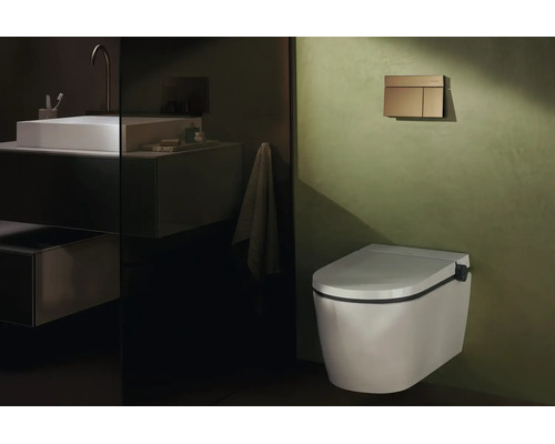 Wandhängendes Dusch-WC in einem modernen Badezimmer mit grüner Wand, goldener Betätigungsplatte und Spiegelreflexion eines Waschtisches.