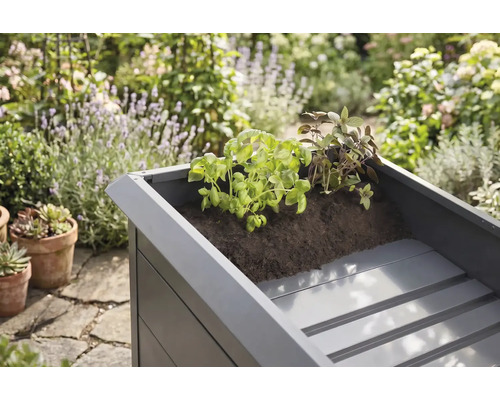 Hochbeet aus Metall mit Kräutern in Erde bepflanzt, im Hintergrund ein sonniger Garten mit verschiedenen Pflanzen.