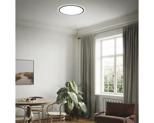 Runde LED-Deckenleuchte in einem hellen, organisierten Wohnzimmer mit Esstisch, großer Zimmerpflanze und Fensterfront.