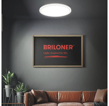 Moderne Wohnzimmerszene mit einer hellen, runden LED-Deckenleuchte, einem Ledersofa und Zimmerpflanzen vor einer dunklen Wand. Briloner Logo.