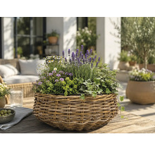 Geflochtener Pflanzkorb aus Weide mit Lavendel, Efeu und weißen Blumen auf Holztisch auf heller, organisierter Terrasse mit Gartenmöbeln.
