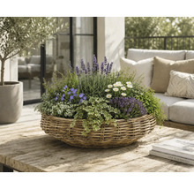 Runder Korb-Pflanzkübel mit Lavendel, Gänseblümchen und Efeu auf einem Holztisch in einem hellen Terrassenbereich mit Gartenmöbeln.