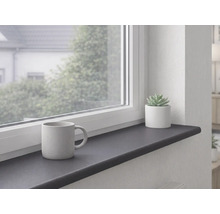 Anthrazitfarbene Innenfensterbank unter einem weißen Fenster montiert, dekoriert mit einer Tasse und einer Sukkulente im Topf.