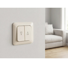 Rolladenschalter mit Doppelwippe und Symbolen für Auf und Ab an einer Wand in einem hellen, organisierten Wohnzimmer.