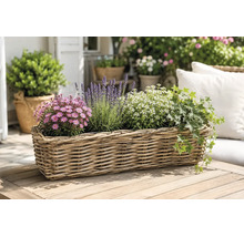 Rechteckiger Pflanzkorb aus Weide auf einem Holztisch, bepflanzt mit Lavendel, Efeu und Blumen auf einer hellen Terrasse.