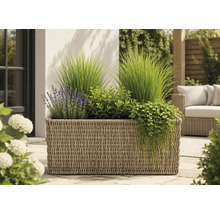 Rechteckiger Pflanzkübel in Korboptik auf einer Terrasse, bepflanzt mit Lavendel, Ziergräsern und Hängepflanzen.